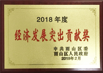 2018年度經(jīng)濟(jì)發(fā)展突出貢獻(xiàn)獎(jiǎng)